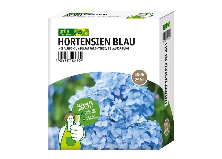 Hortensien Blau
