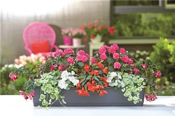 Balkon & Terrasse