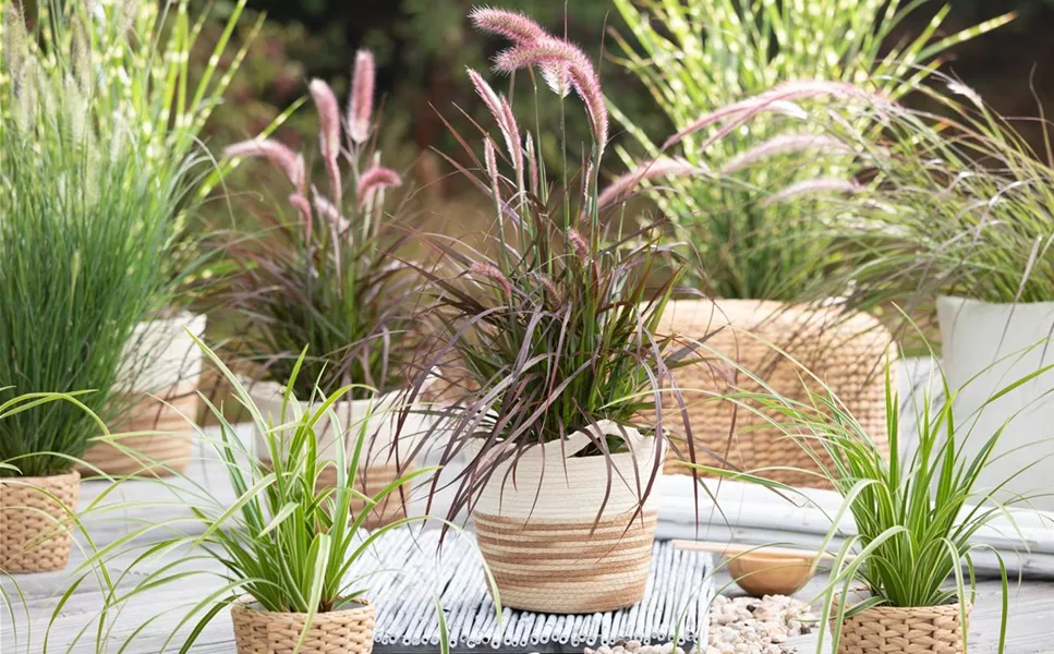 Aussen - Pflanzegefäße für den Garten!