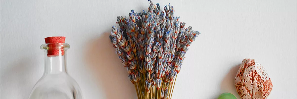 TROCKENBLUMEN!