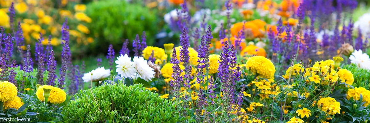 Gartenwelt