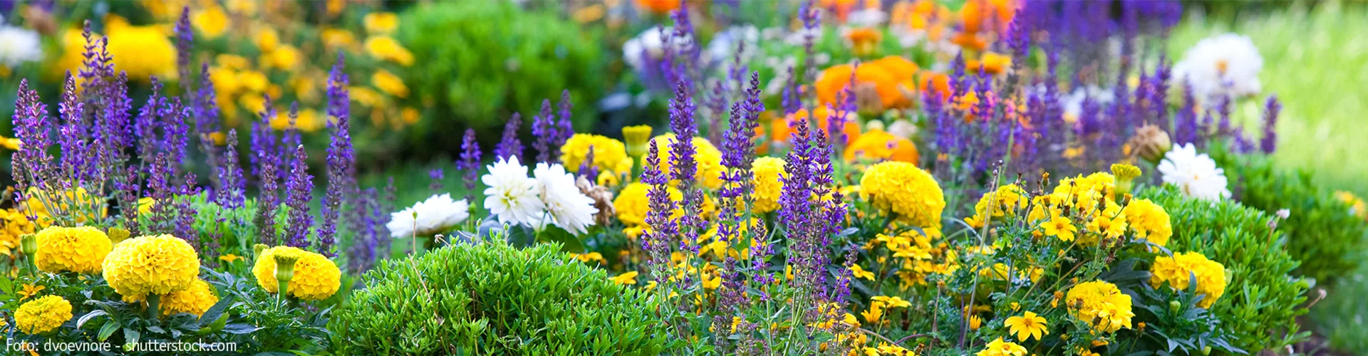 Gartenwelt