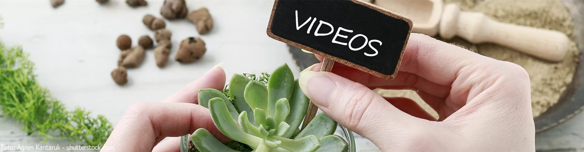 Videos