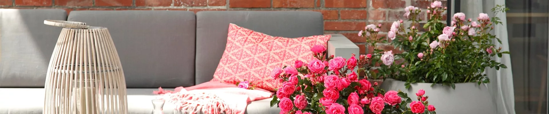 DIE ROSE!