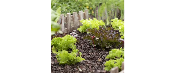 GENUSS-GARTEN!