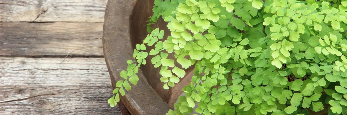 Sport- und Reitplatzbau