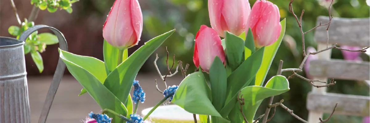 Angebote im Frühling 2020